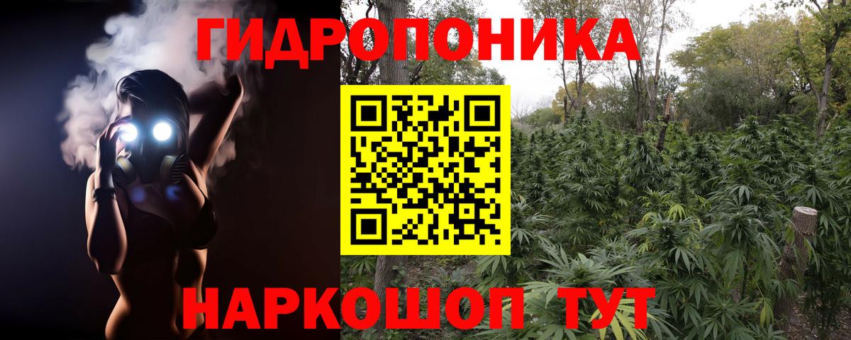 Аргун  Шишки марихуана White Widow  Вход с VPN  Марихуана MAZAR 